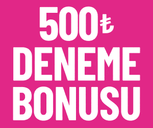 setra300